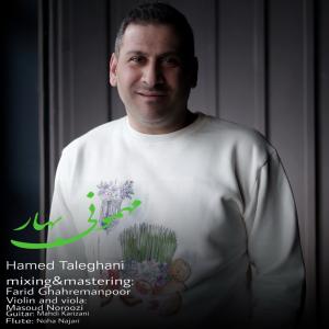 حامد طالقانی