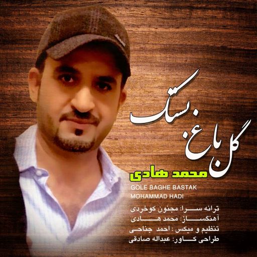 محمد هادی
