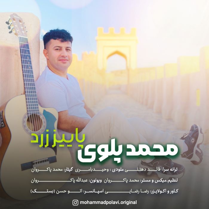 محمد پلوی