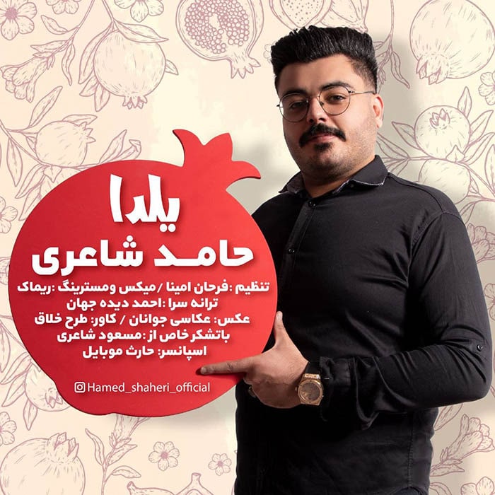 حامد شاعری