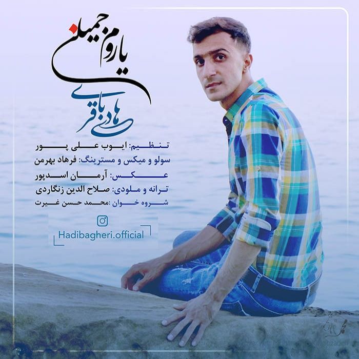 هادی باقری