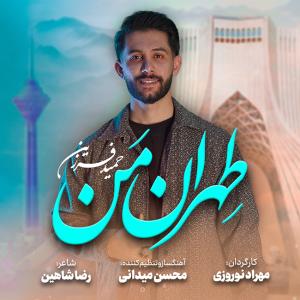 حمید فرزین