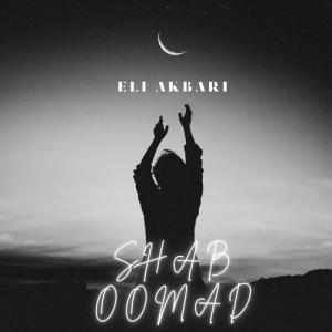 ایلای اکبری