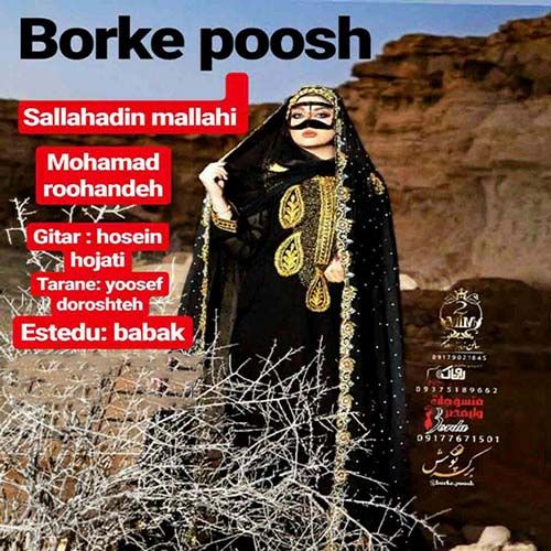 محمد روهنده صلاح الدین ملاحی