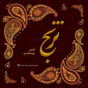 آیدین نورمحمدی