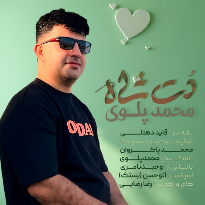 محمد پلوی