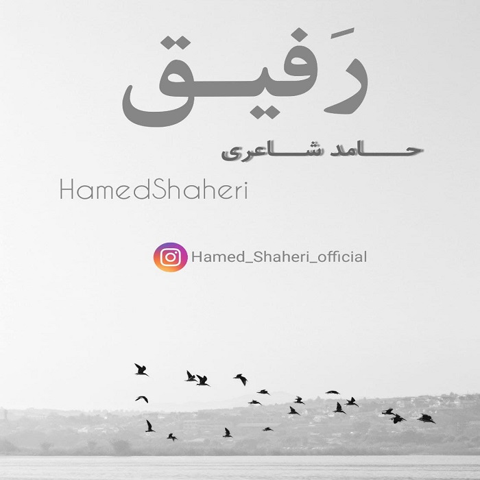 حامد شاعری