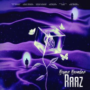 نویان نامدار