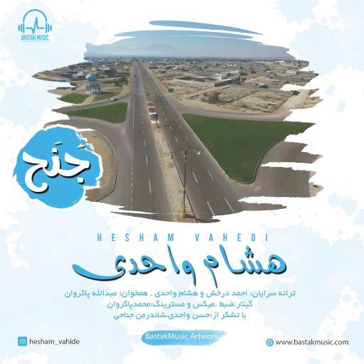 هشام واحدی
