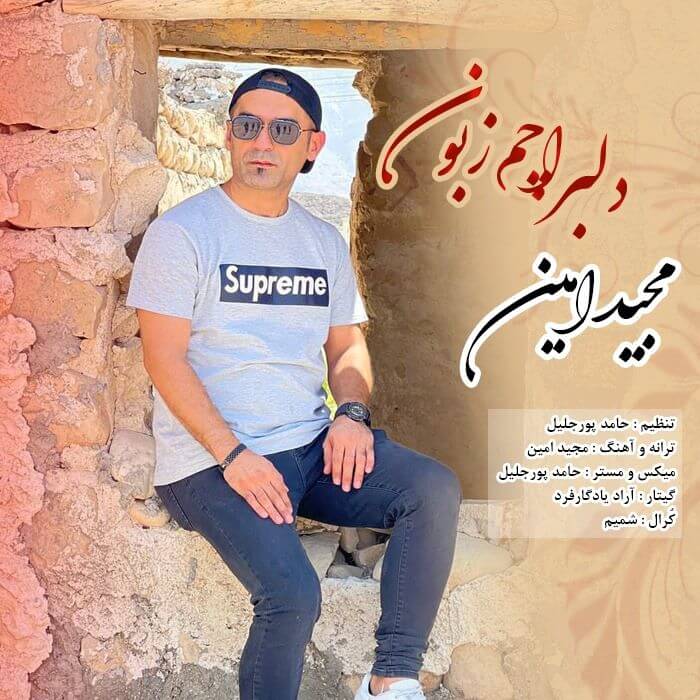 مجید امین