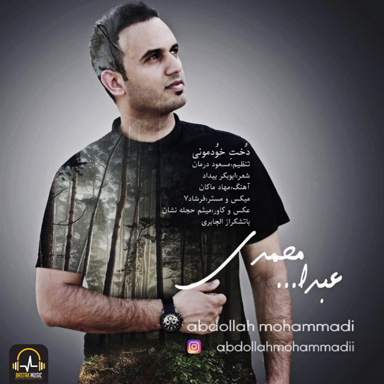 عبدالله محمدی