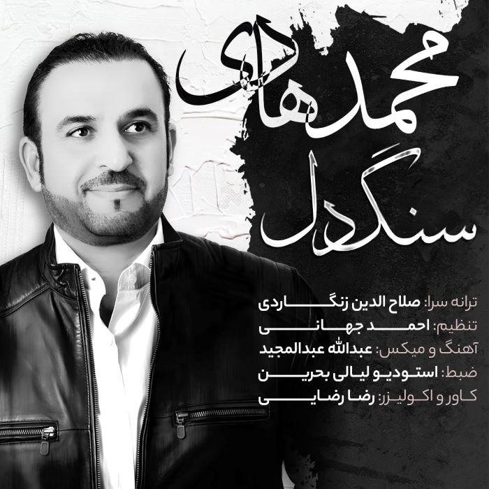 محمد هادی