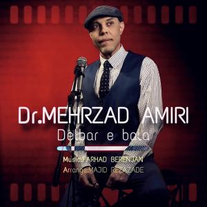 دکتر مهرزاد امیری