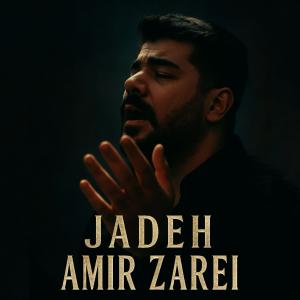 امیر زارعی
