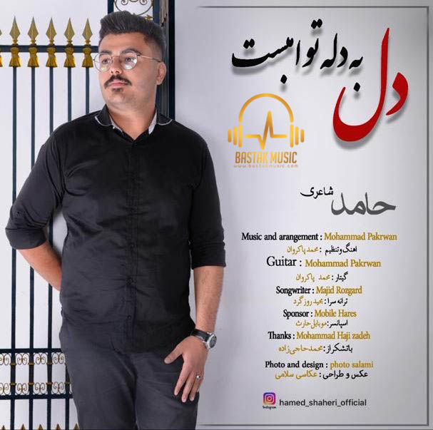 حامد شاعری