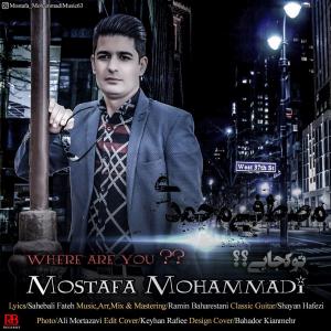   مصطفی محمدی