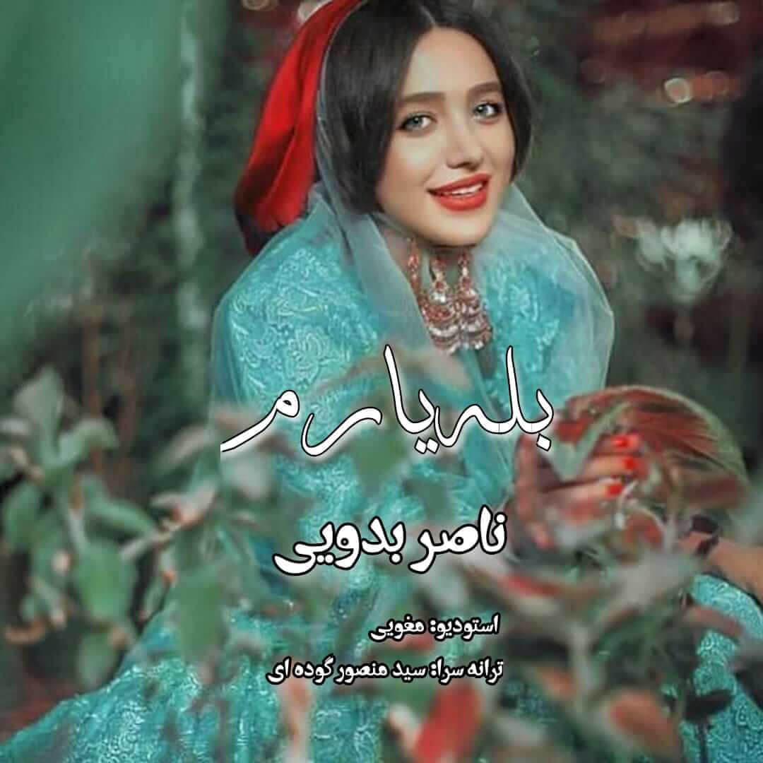 ناصر بدویی