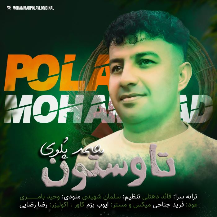 محمد پلوی