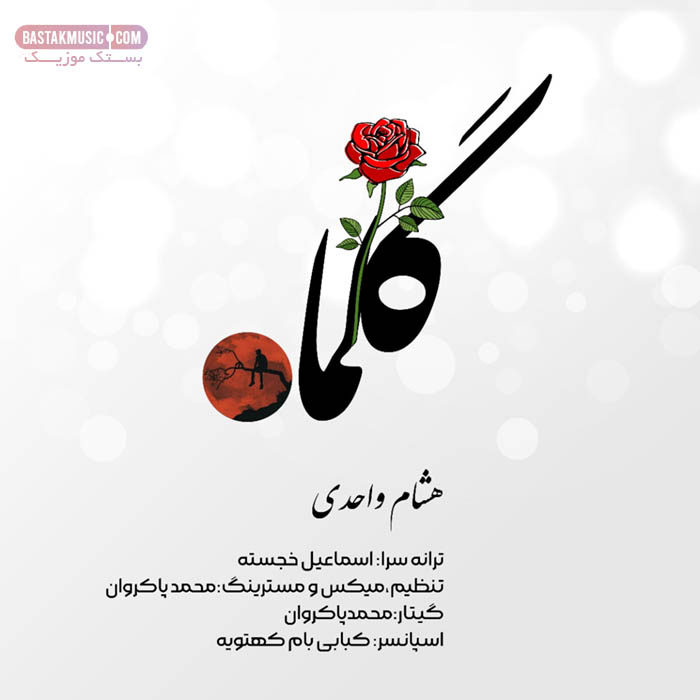 هشام واحدی