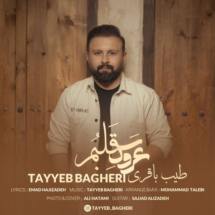 طیب باقری