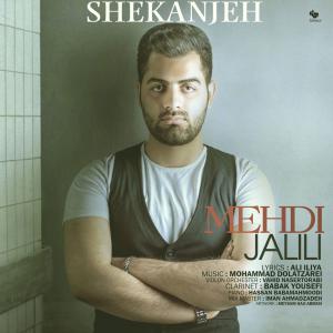   مهدی جلیلی