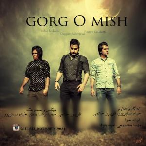 میلاد محسنی