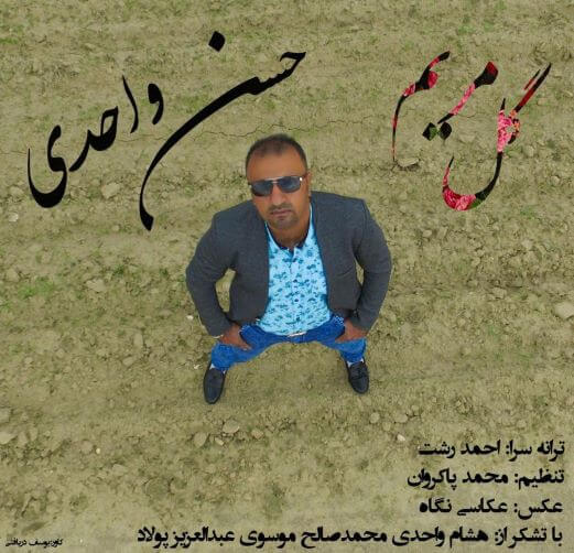 حسن واحدی