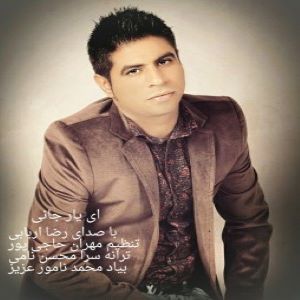 رضا اربابی